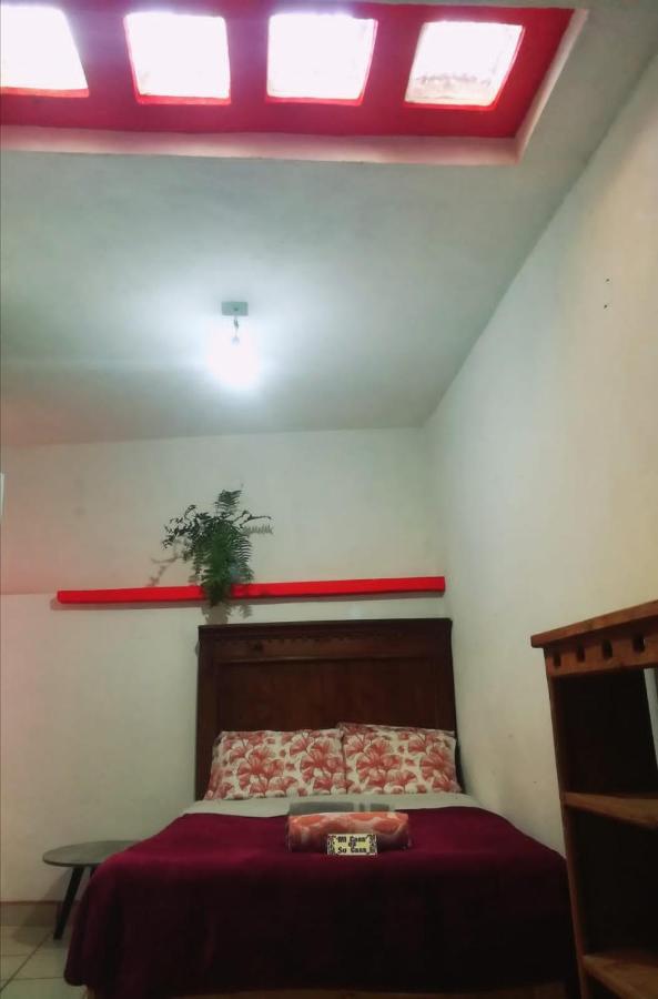 Home Sweet Home גואנאחואטו מראה חיצוני תמונה